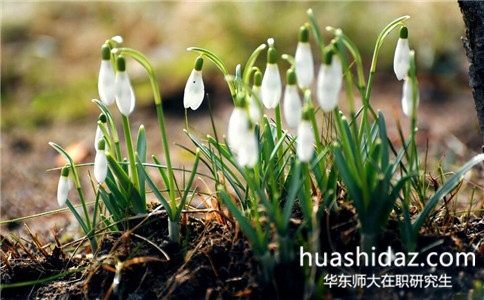 華東師范大學(xué)在職研究生在哪里報(bào)名